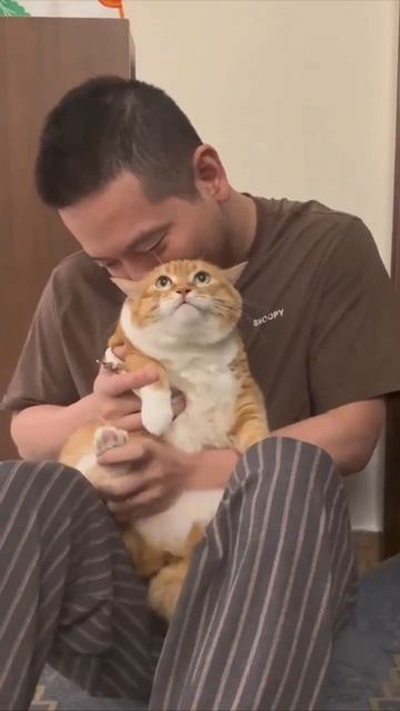 Видео от Tom and Сats / Кот на карте