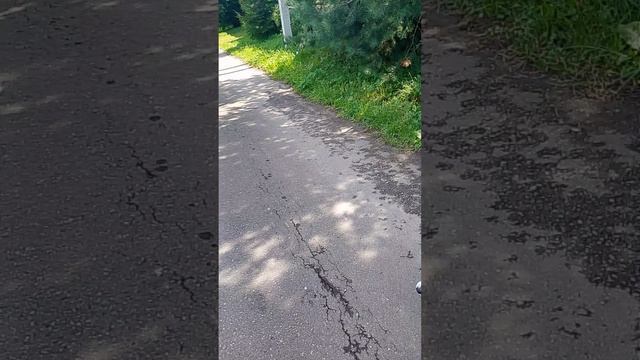 Свободная, Прудно 22.07.2026.
