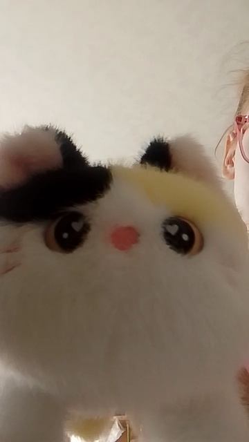Котик