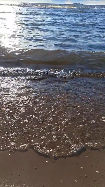 Пол дня у Финского залива 🌊🌊🌊