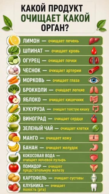 Какой продукт очищает какой орган.