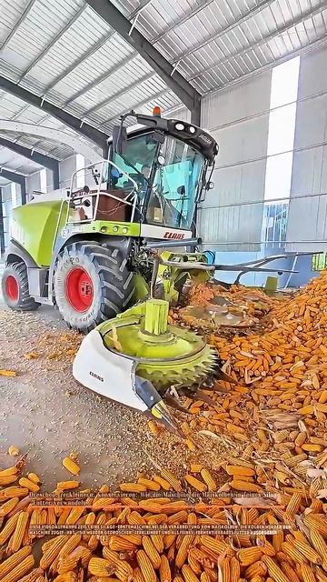 Извлечение кукурузных зёрен