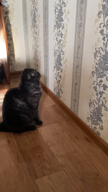 Каждое утро в нашем … 🙂