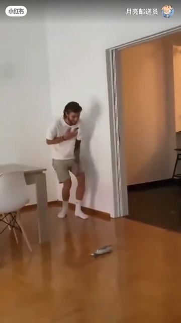 Смешные коты.mp4