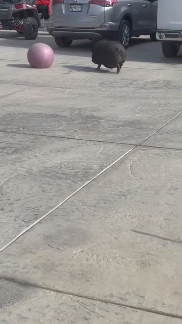 Это я, когда наконец-то решила заняться спортом 🤪😅😅