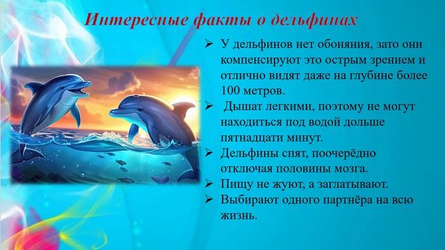 День китов и дельфинов исправленная