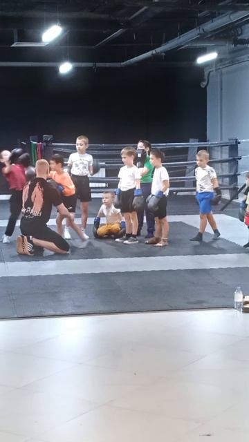 бокс 🥊 mp4