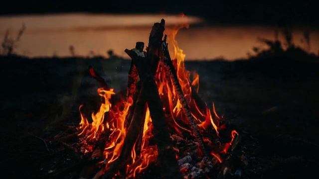 он появился через 10 лет и потребовал половину бабушкиного н