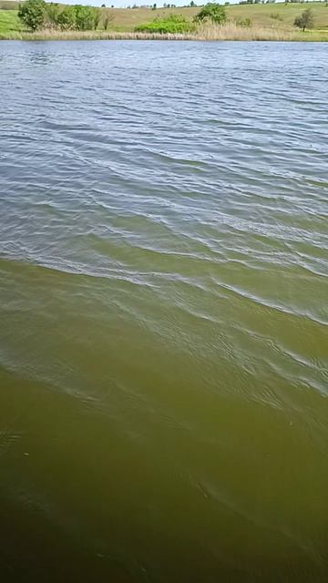 Природа, завораживает!! 🌊