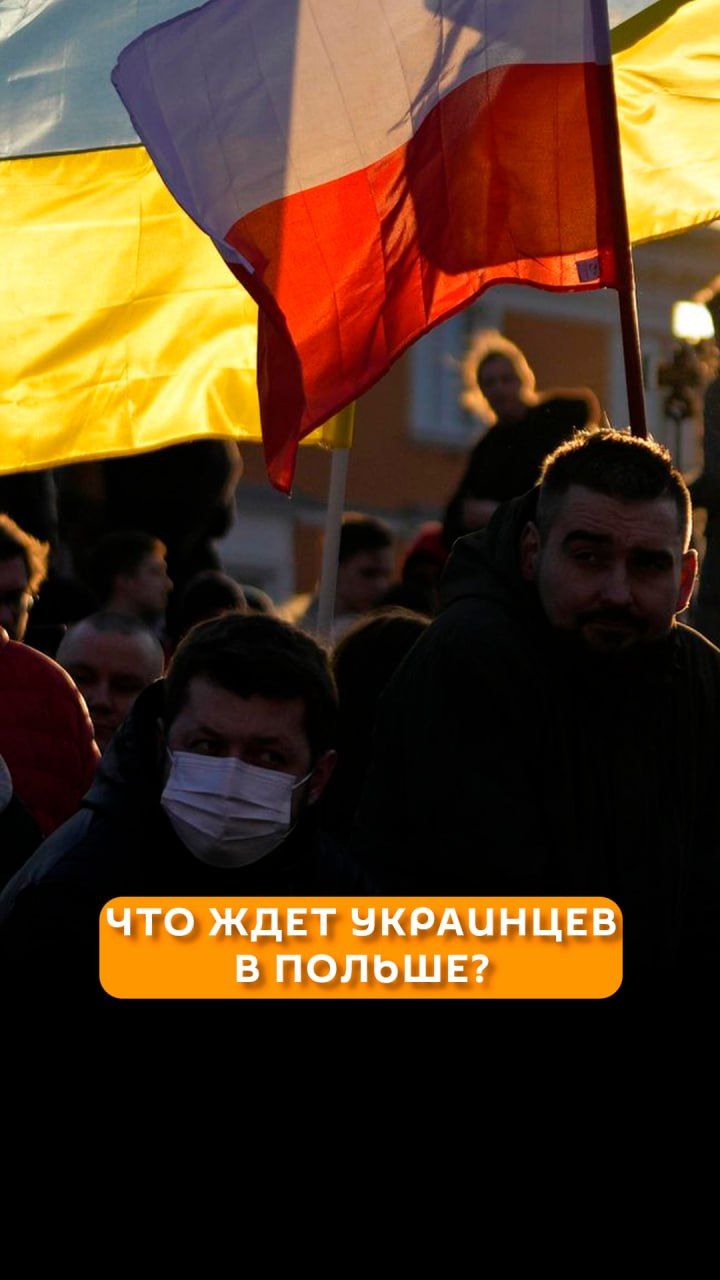 Что ждет украинцев в Польше?