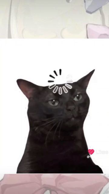 4481.mp4