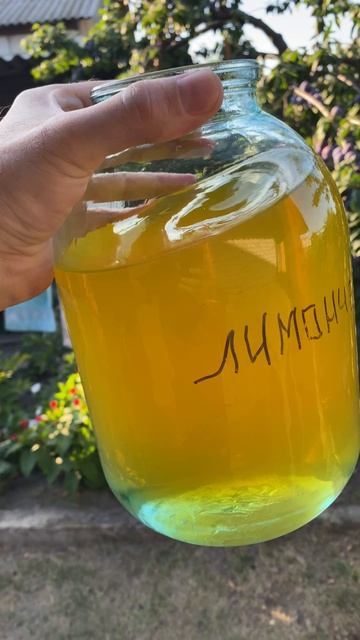 Лимончелло из Абхазских Лимонов