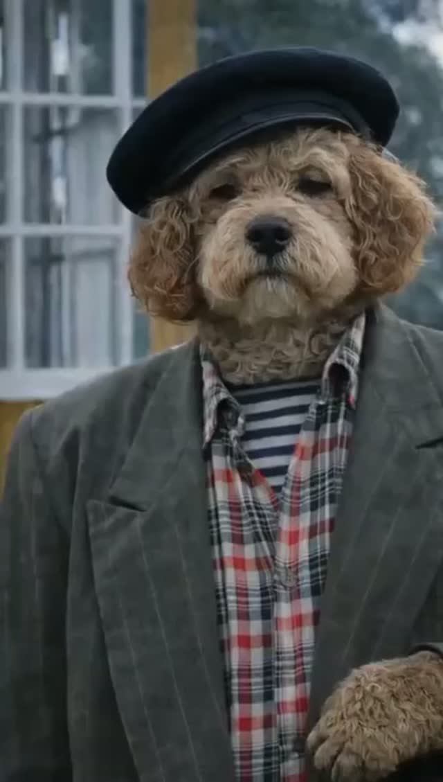 Любовь и Голуби