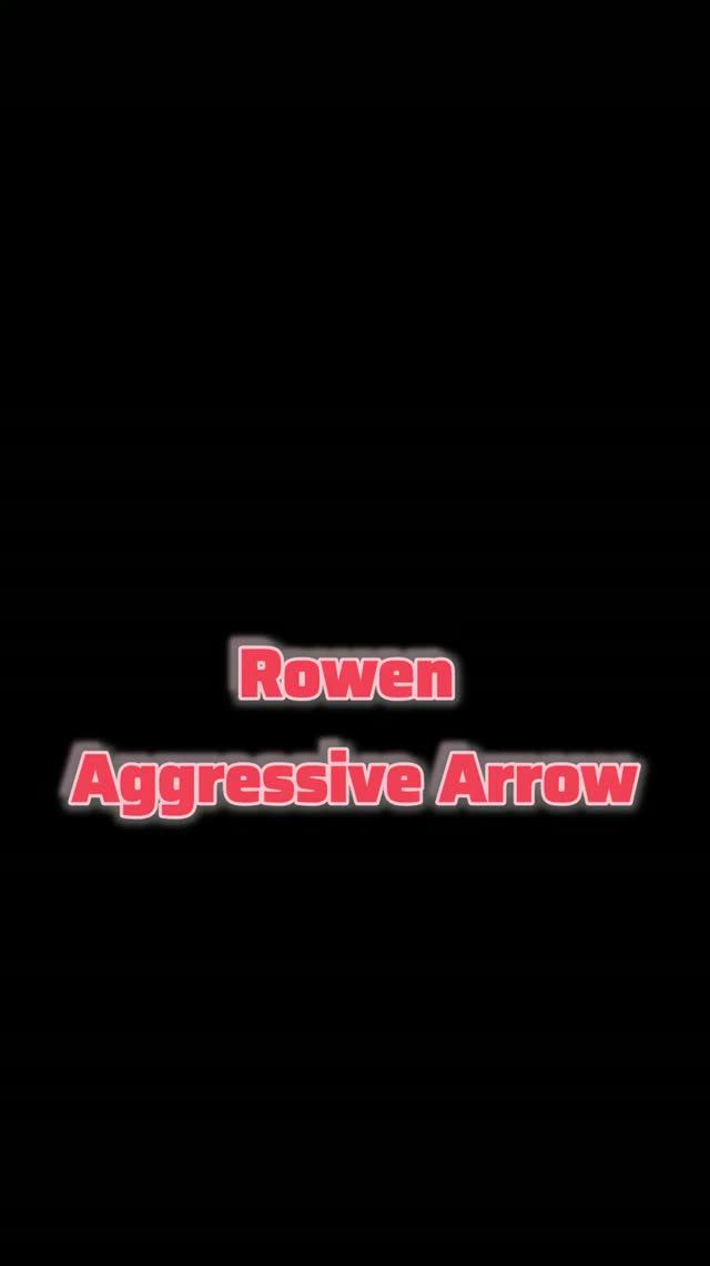 Повторитель поворотников Rowen Aggressive Arrow