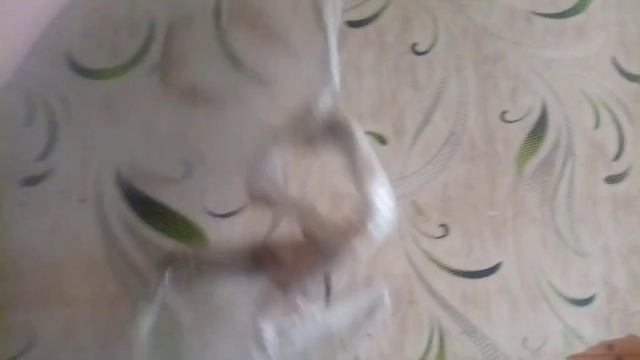 Прозрачный цаплязавр