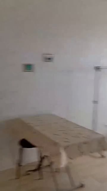 18519562455621 (1)