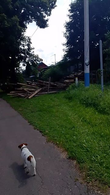 Идëм домой 22.07.2026.