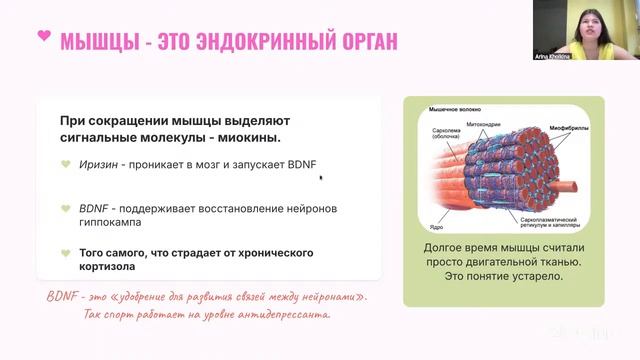 Бежать, идти или бить грушу: какой спорт помогает при стрессе. Арина Холькина