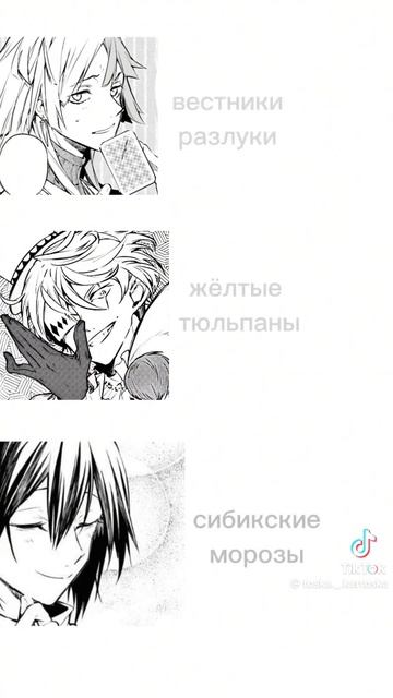 белые розы