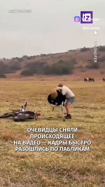vkclips_20260722015954