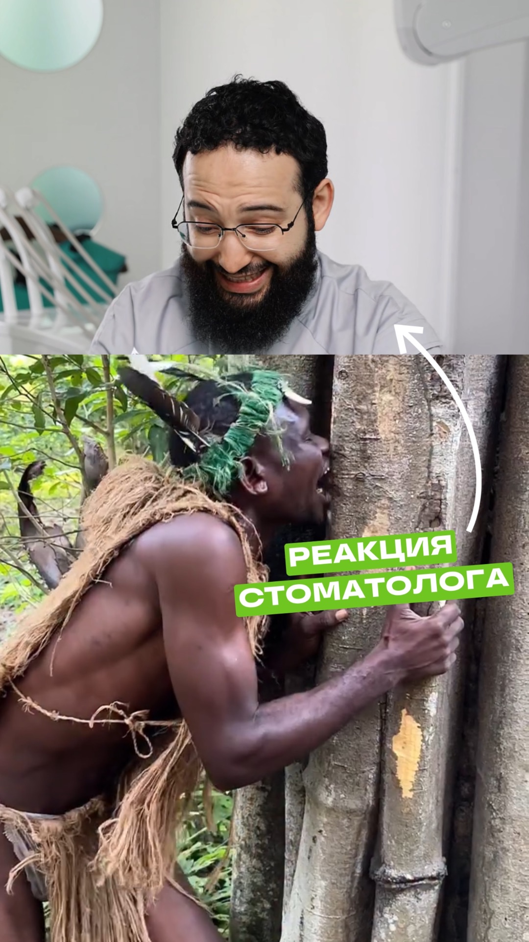 Грызет дерево😨 Реакция стоматолога