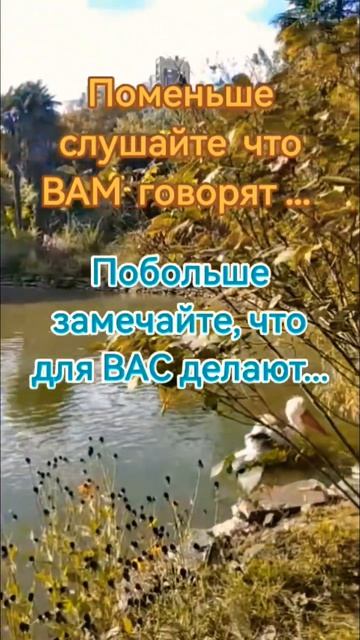 #shorts# Простые истины #рекомендации#подпишись#оберег#мудрость#приметы#жизнь#психология#природа