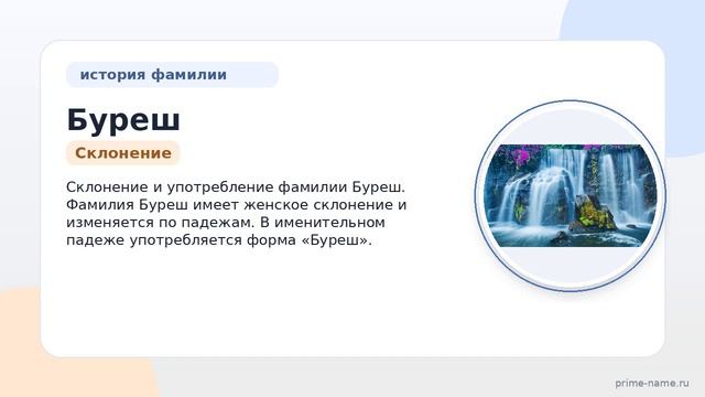 Фамилия Буреш: происхождение, значение и склонение