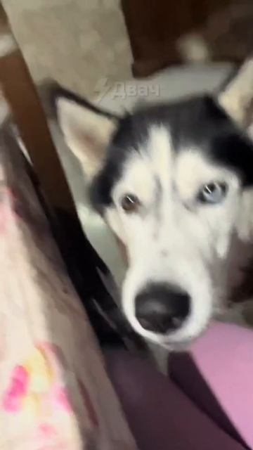 1000001905.mp4