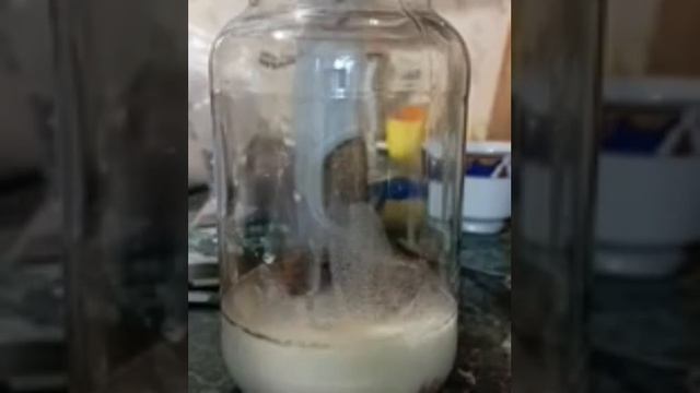 элексир безсмертия. mp4