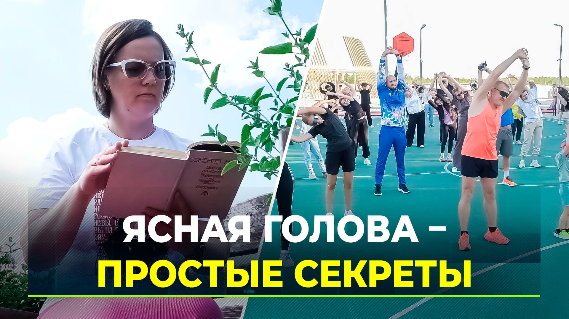 Мозг в тонусе: как северяне держат голову ясной