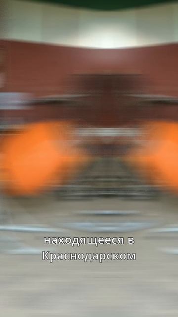 Наши 