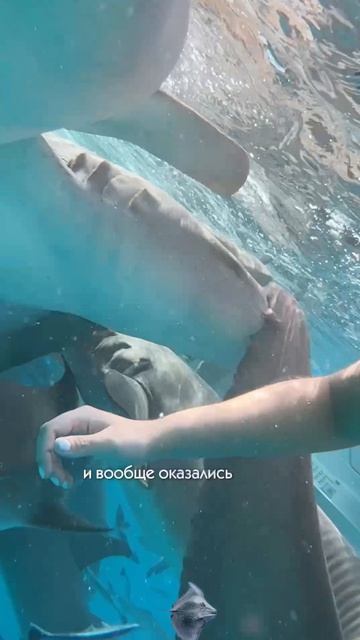 3 День на Мальдивах