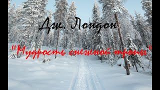 Дж. Лондон _ Мудрость снежной тропы_   аудиокнига