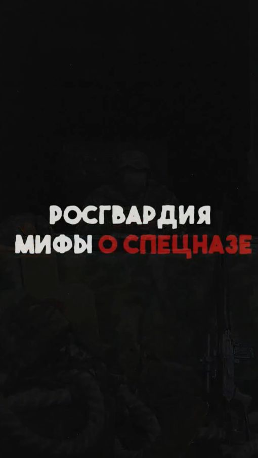 #Мифы_об_оружии | Обывательские суждения о службе «спецов»