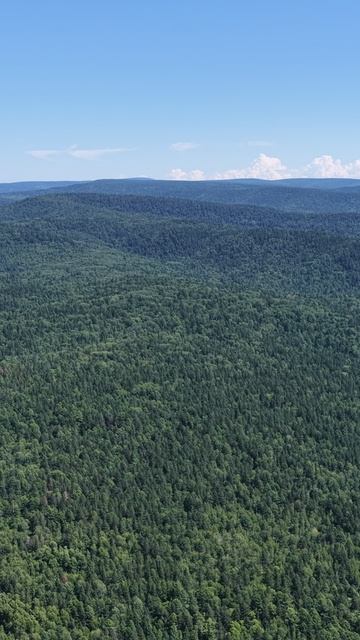 Одиннадцатый полет в рамках проекта 