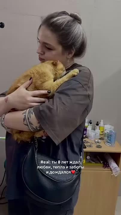 Автор видео: valyasminchenko
