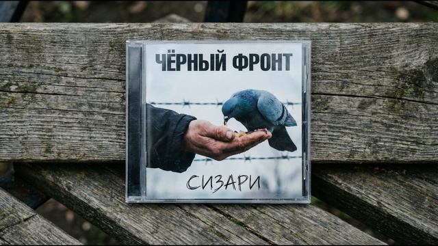 podisco55 — Сизари / Братва пернатая (Душевный шансон 2026) 🕊️🎸