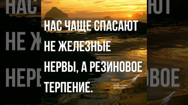 НЕ.KURILI - Плюшевый Рай