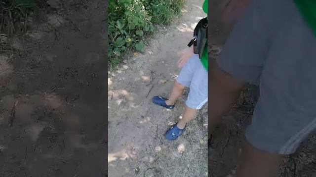 смотрим ягоды