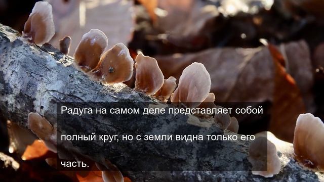 Погас где то в районе Дыбенко