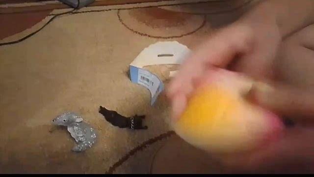 Открываем дамплинга вместе с каналом Шуша