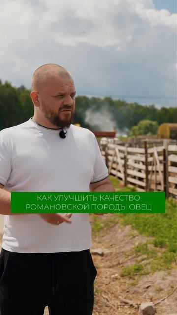 Подробнее об овцеводстве смотрите в полном выпуске на канале! #овцы #овцеводство #ферма