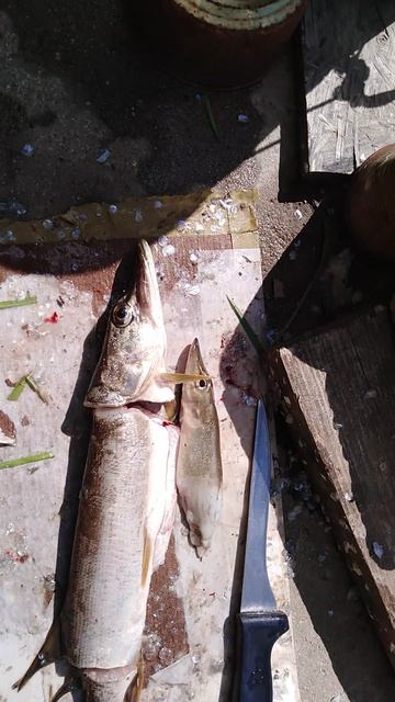 ✔🎣Щука-матрёшка🐟✔