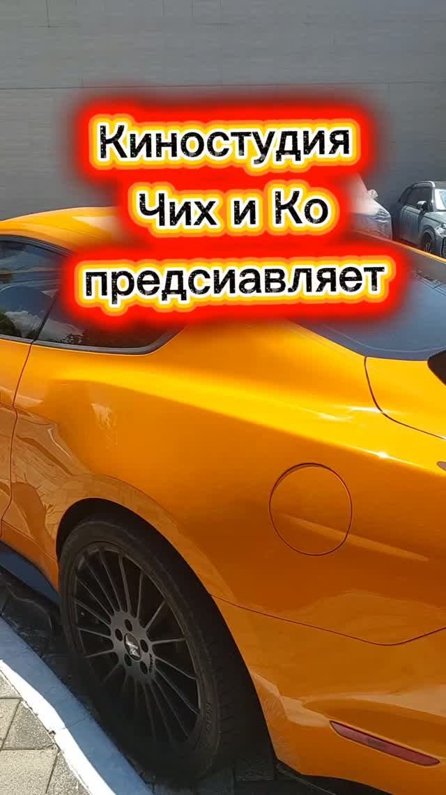 #ЧихуахуаПринцРеди#Мустанг#ЧихухуаСила)