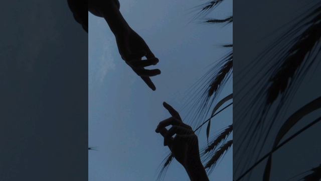 1000085197.mp4