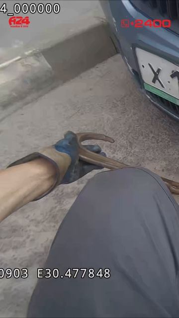 Ложный вызов. Спасение Skoda Fabia авто спб эвакуатор Питер ручник поломка отзыв тормоза