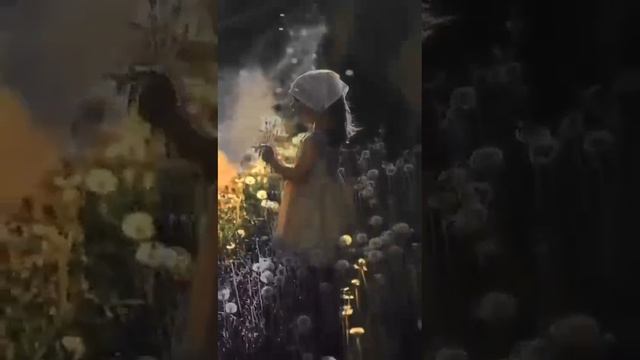 1000030986.mp4