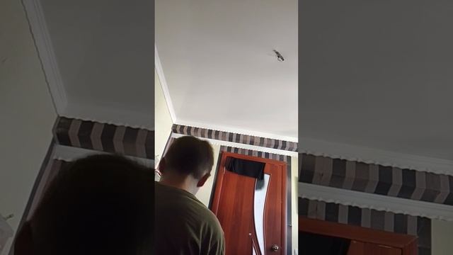 1448.mp4
