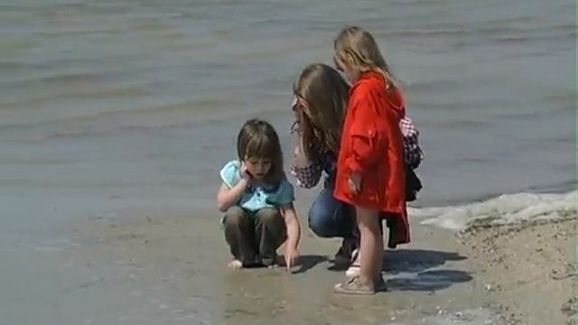 Экологический десант «Чистый Ягорлык-2014»