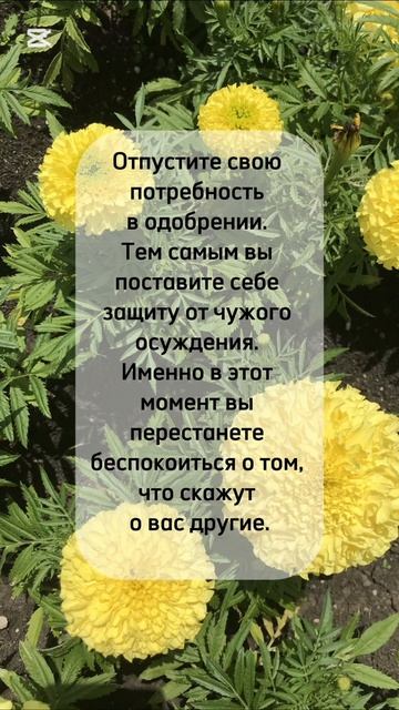 #shorts#психология#житьжизнь#реальнаяжизнь
